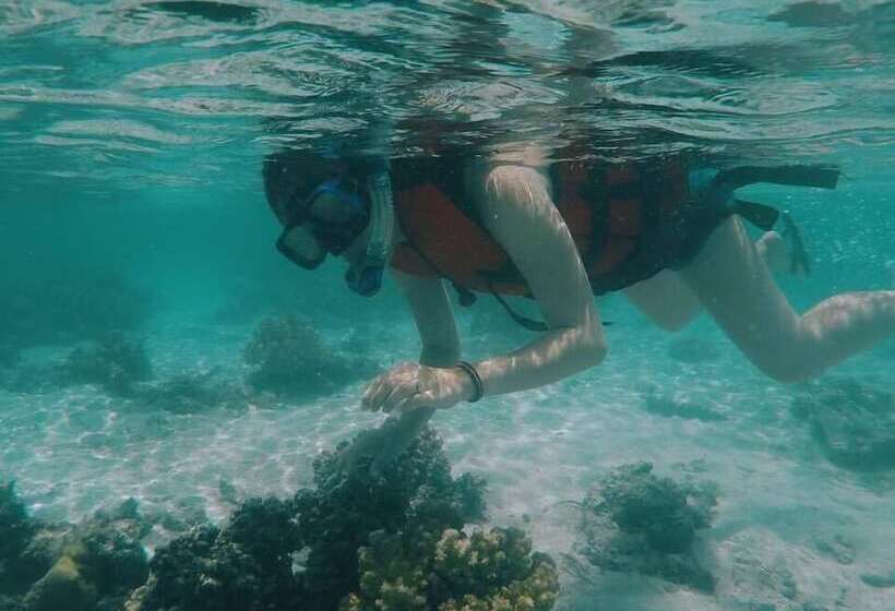 Hotel Talikud Island Mangrove Beach Resort