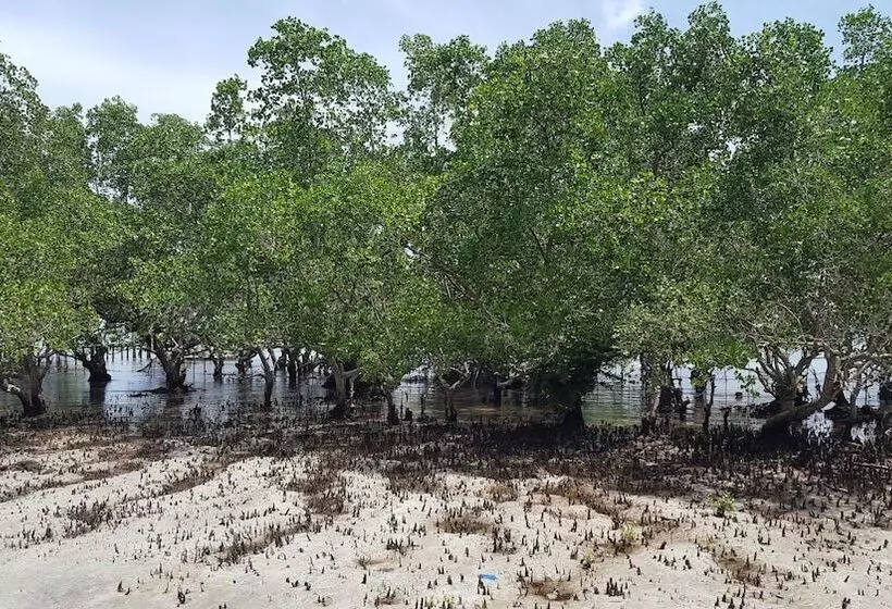 Hotel Talikud Island Mangrove Beach Resort