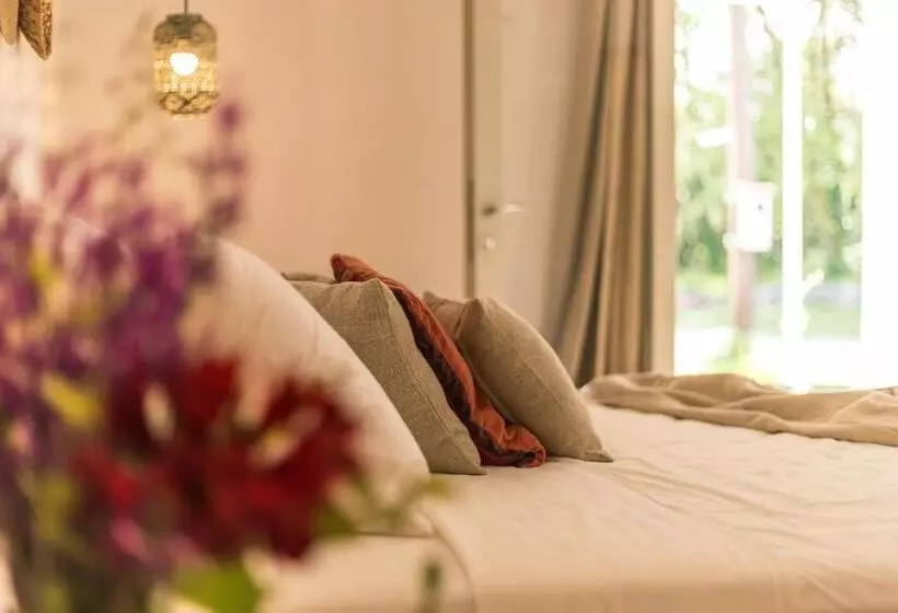 Pension Luna Inn B&b