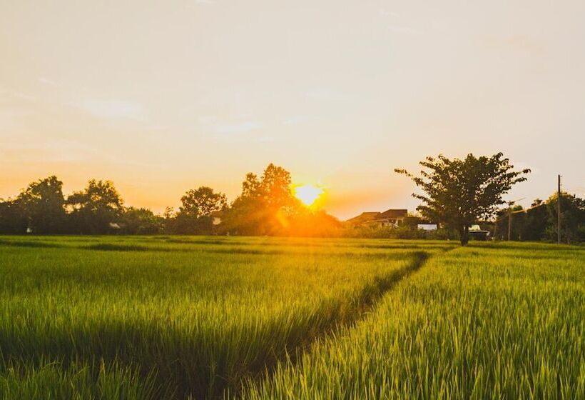 هتل Bannkrithamed Chiangmai