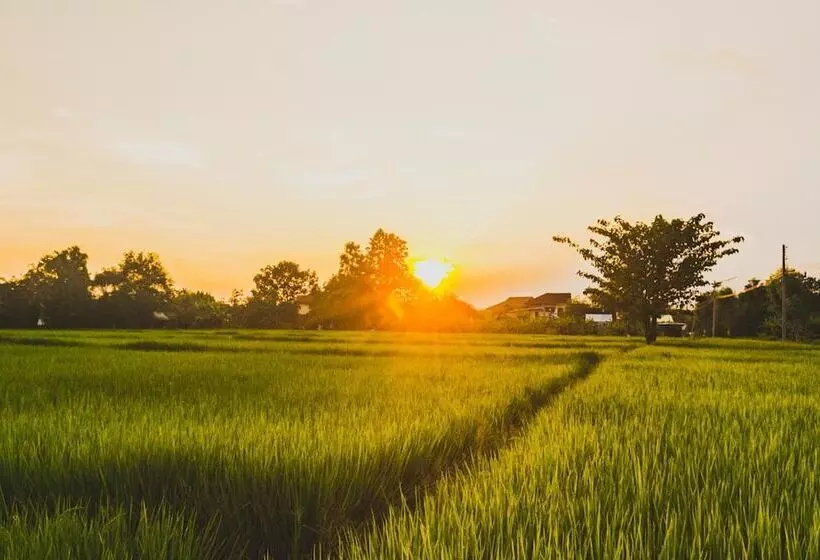 هتل Bannkrithamed Chiangmai