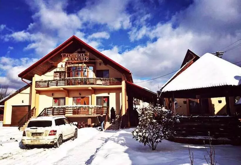 田舎風ホテル Pensiuna Maramures Hoteni