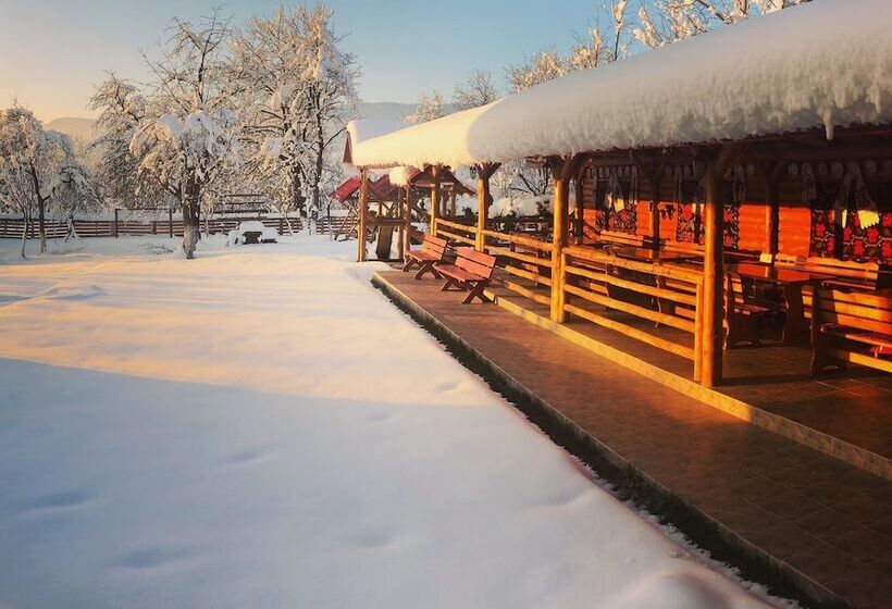 هتل روستایی Pensiuna Maramures Hoteni