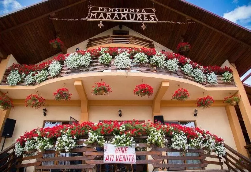 田舎風ホテル Pensiuna Maramures Hoteni