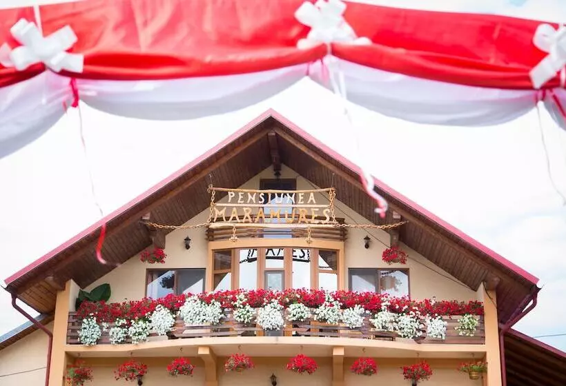田舎風ホテル Pensiuna Maramures Hoteni