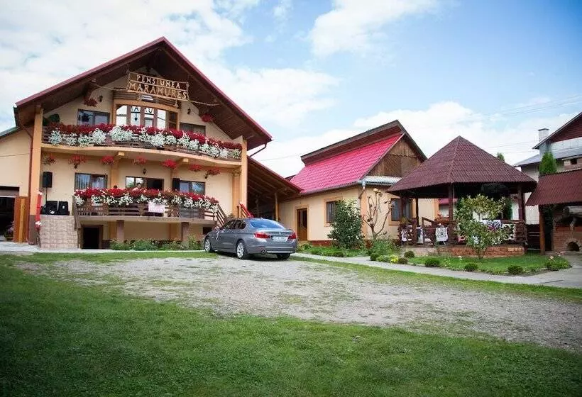 田舎風ホテル Pensiuna Maramures Hoteni