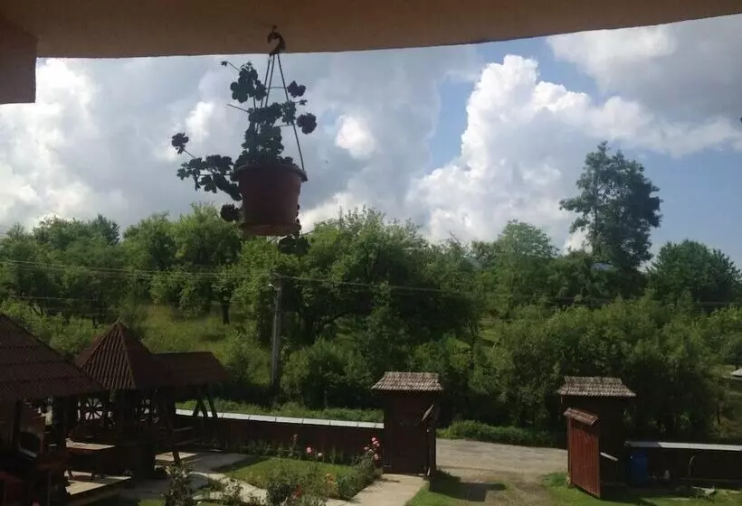 田舎風ホテル Pensiuna Maramures Hoteni