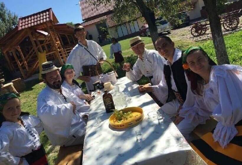 هتل روستایی Pensiuna Maramures Hoteni