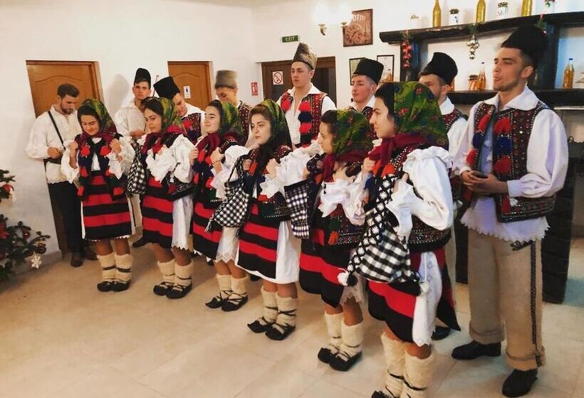 هتل روستایی Pensiuna Maramures Hoteni