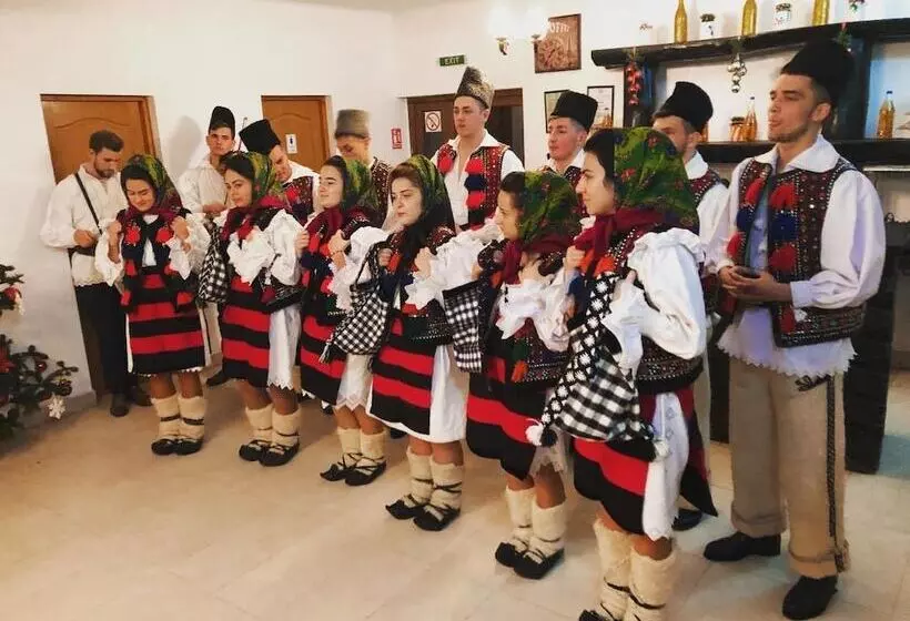 田舎風ホテル Pensiuna Maramures Hoteni