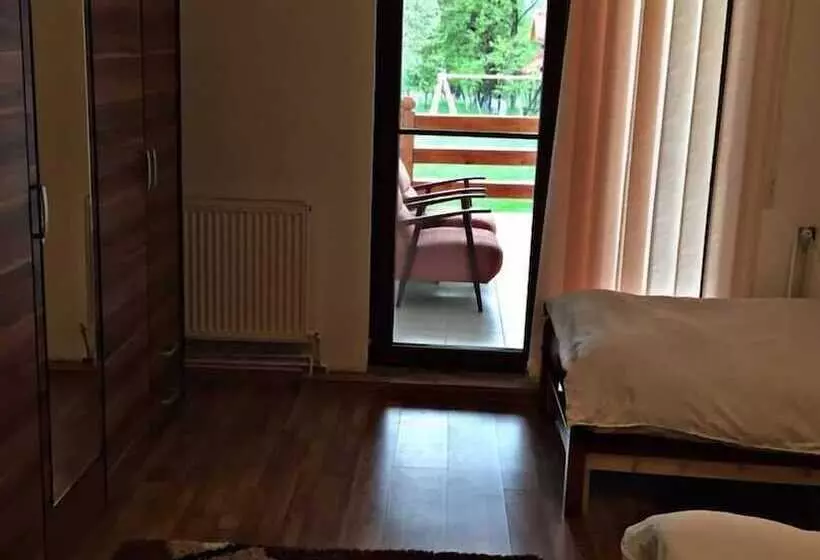 田舎風ホテル Pensiuna Maramures Hoteni