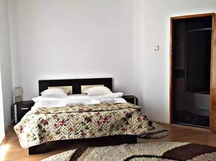 田舎風ホテル Pensiuna Maramures Hoteni