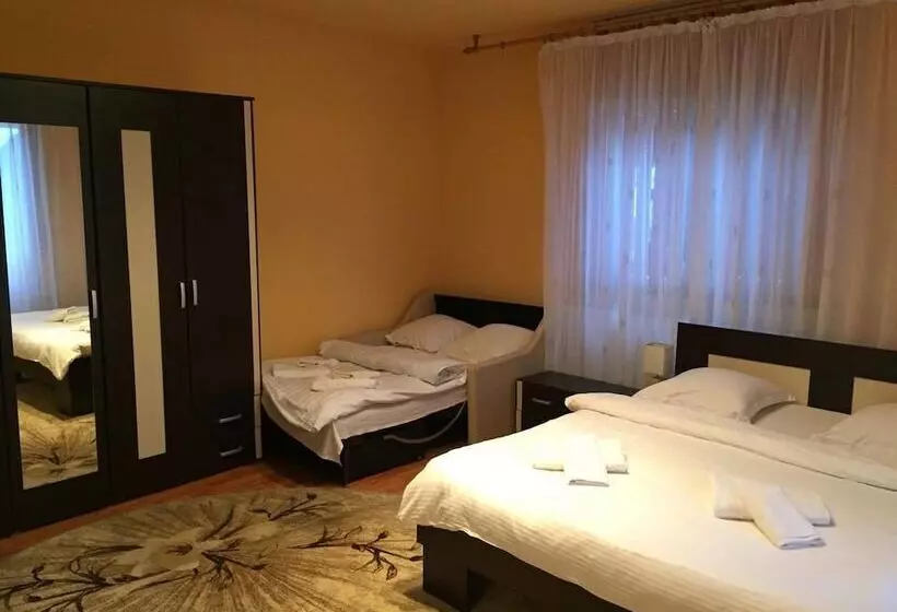 田舎風ホテル Pensiuna Maramures Hoteni