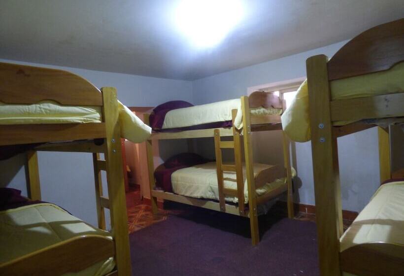 The Grasshopper Hostels Av Alta