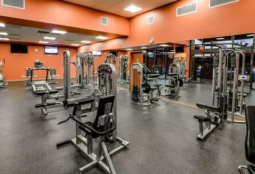 Apache Gold Resort Hotel & Casino