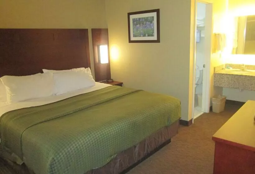 ホテル Best Western Llano