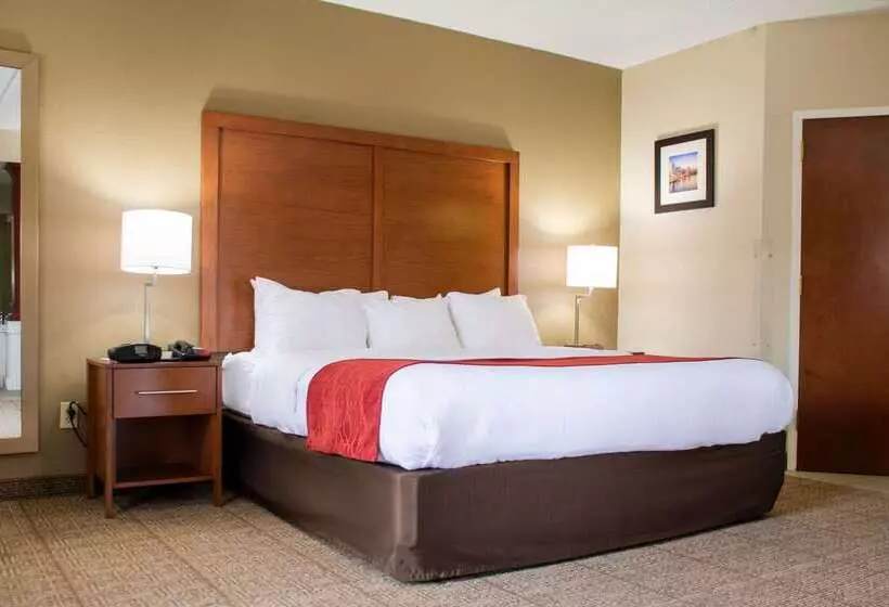 ホテル Comfort Inn