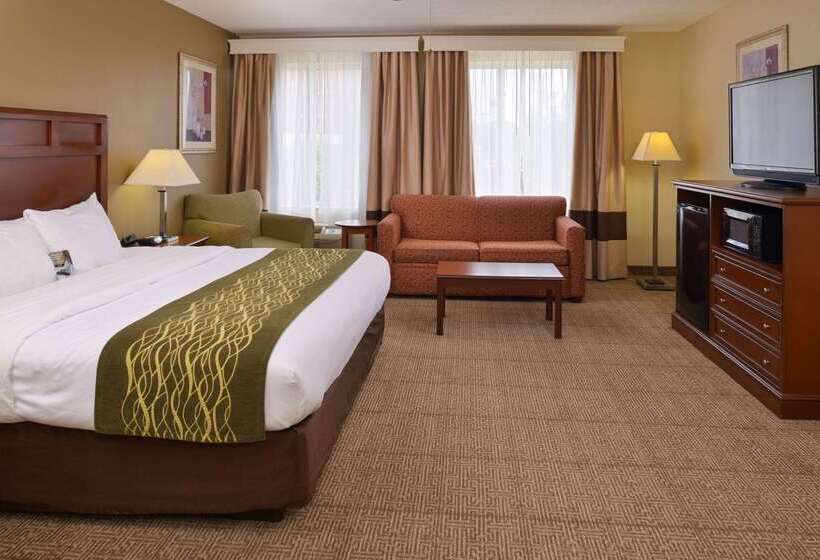 Отель Comfort Inn