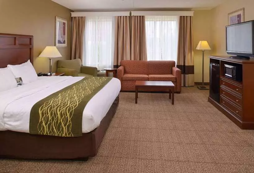 ホテル Comfort Inn