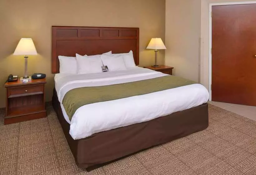 ホテル Comfort Inn