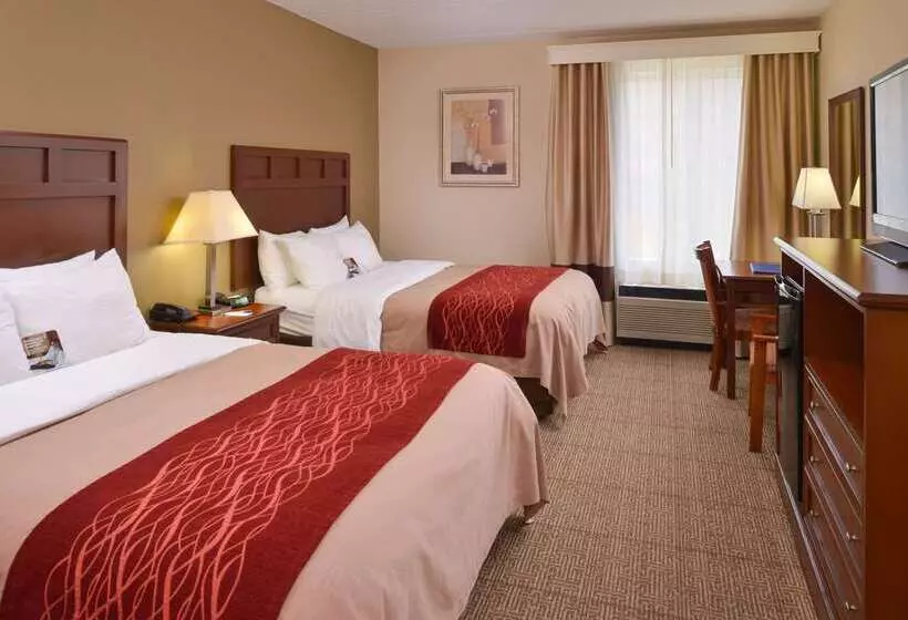 ホテル Comfort Inn