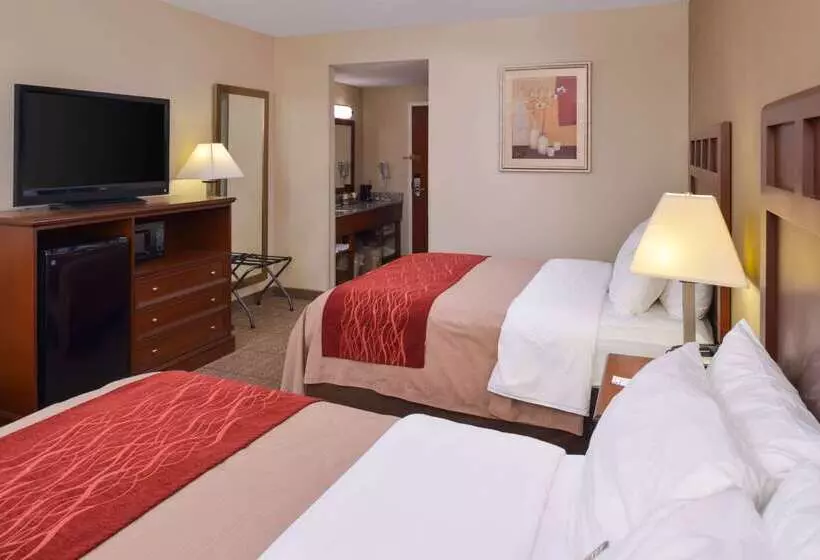 ホテル Comfort Inn