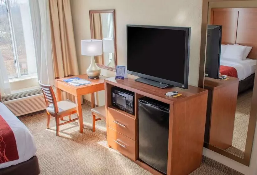 ホテル Comfort Inn