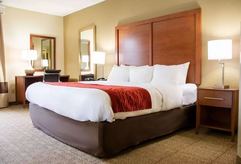 ホテル Comfort Inn