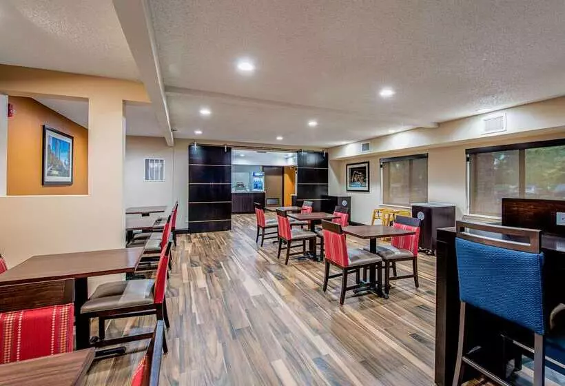 酒店 Comfort Inn Matteson   Chicago