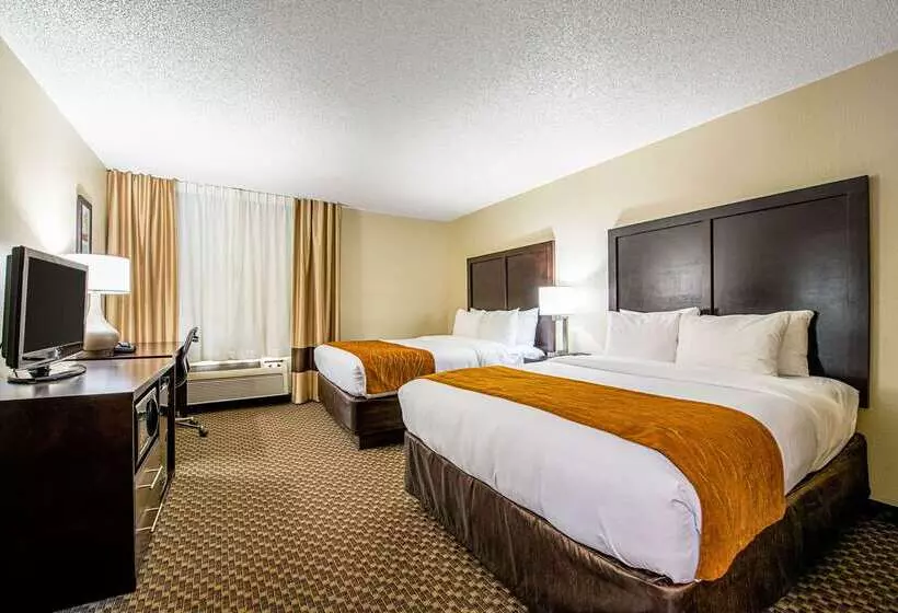 酒店 Comfort Inn Matteson   Chicago