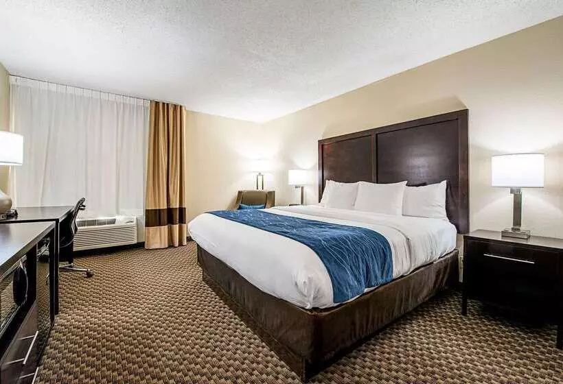 酒店 Comfort Inn Matteson   Chicago