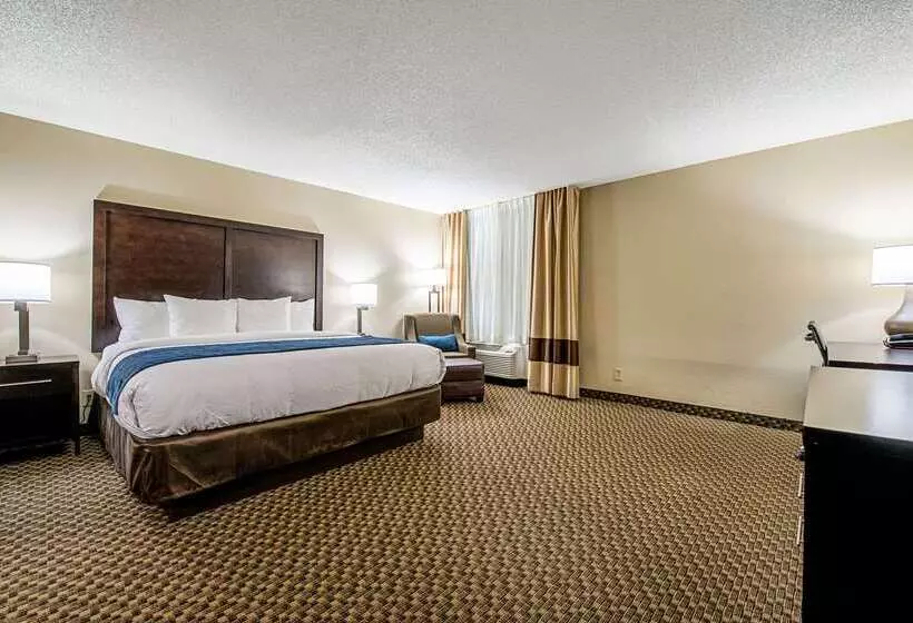 酒店 Comfort Inn Matteson   Chicago