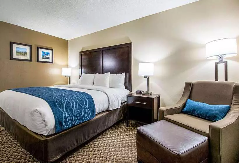 酒店 Comfort Inn Matteson   Chicago