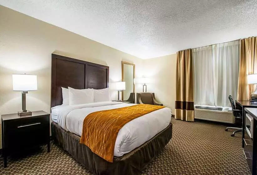 酒店 Comfort Inn Matteson   Chicago
