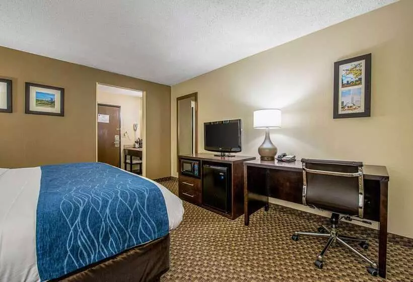 酒店 Comfort Inn Matteson   Chicago
