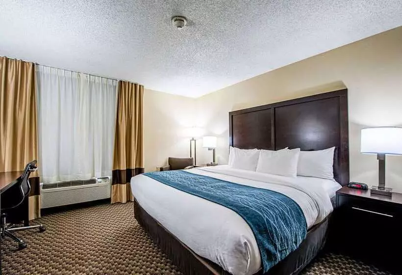 酒店 Comfort Inn Matteson   Chicago