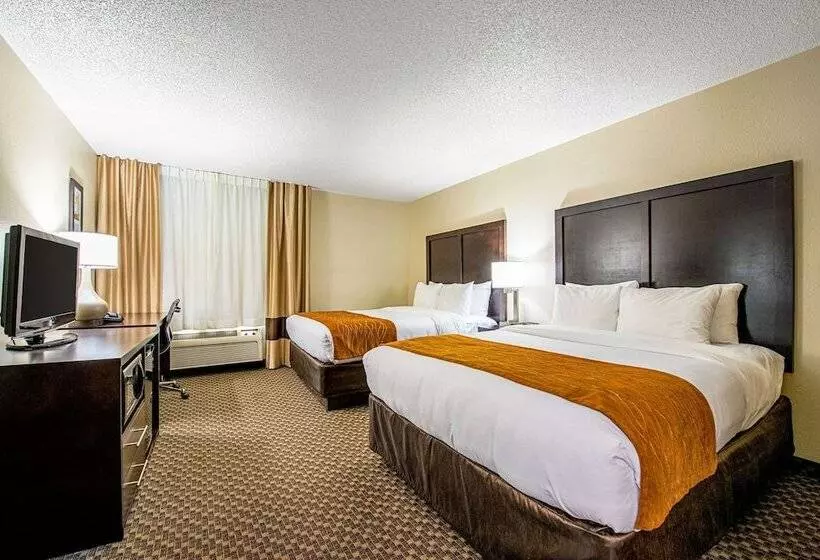 酒店 Comfort Inn Matteson   Chicago