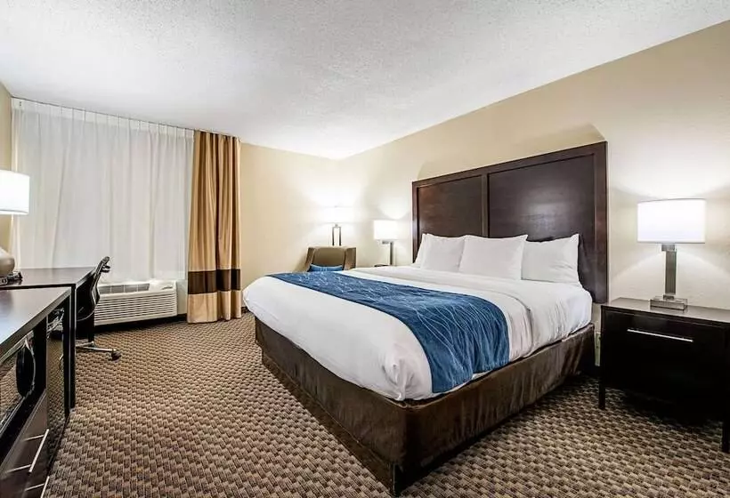 酒店 Comfort Inn Matteson   Chicago