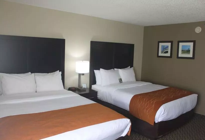酒店 Comfort Inn Matteson   Chicago