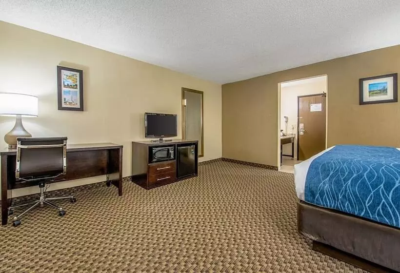 酒店 Comfort Inn Matteson   Chicago
