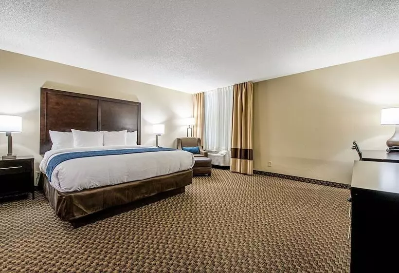 酒店 Comfort Inn Matteson   Chicago