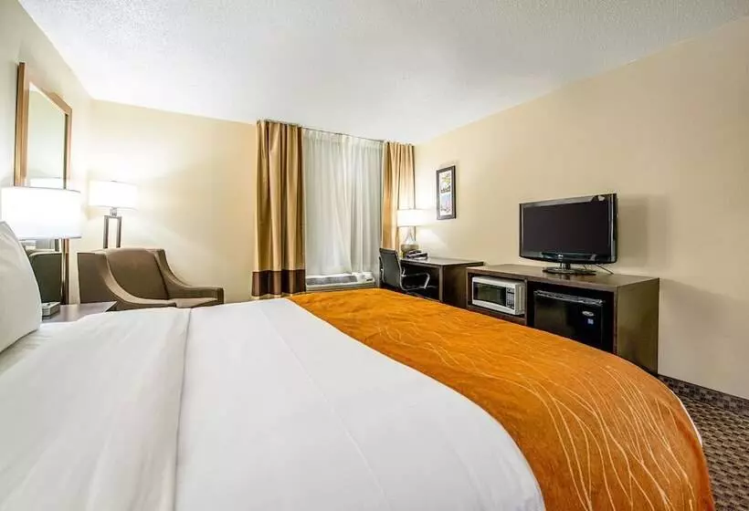 酒店 Comfort Inn Matteson   Chicago