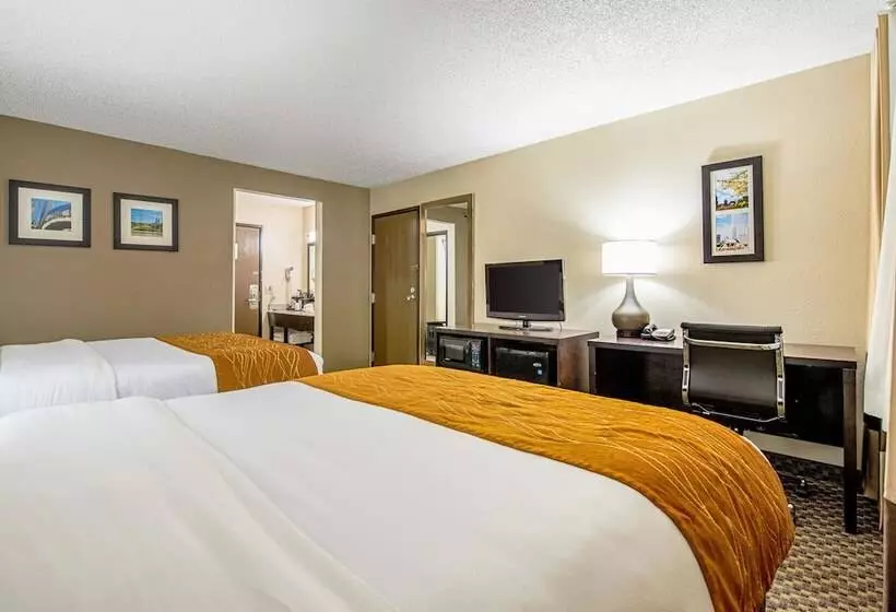 酒店 Comfort Inn Matteson   Chicago