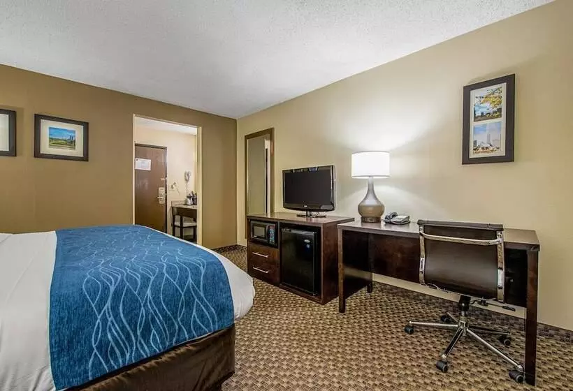 酒店 Comfort Inn Matteson   Chicago