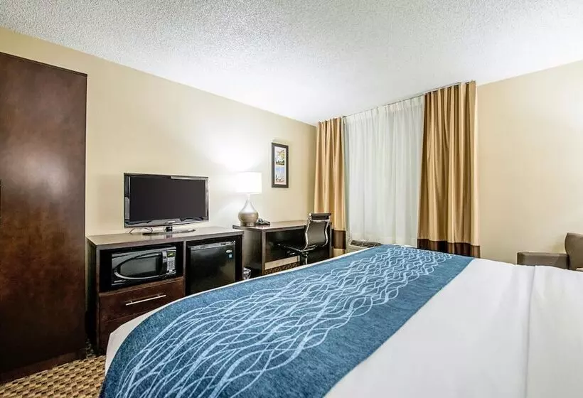 酒店 Comfort Inn Matteson   Chicago