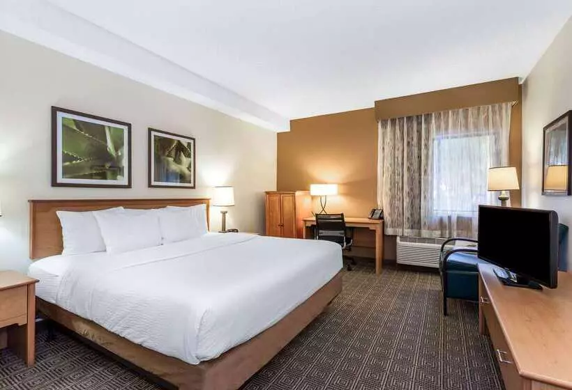 هتل La Quinta By Wyndham Orlando South