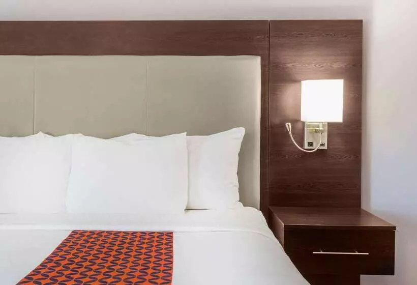 酒店 La Quinta By Wyndham Rockford