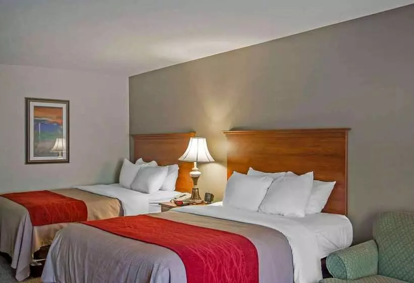 ホテル Quality Inn & Suites Germantown North