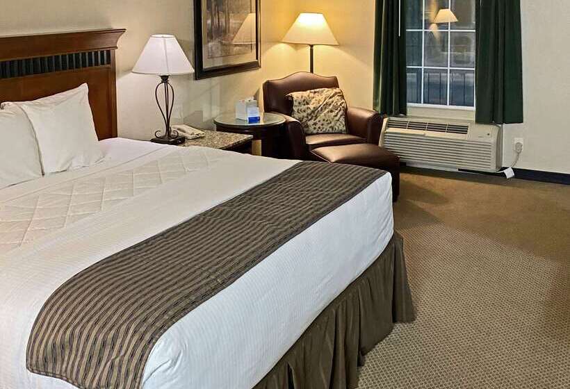 בית מלון כפרי Rodeway Inn