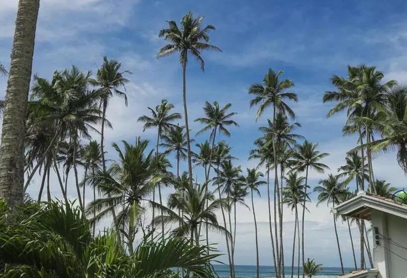 Majatalo Surf Lodge Madiha